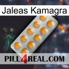 Kamagra Jellies levitra1